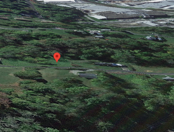 0.29 AC Galax Virginia - Image 2