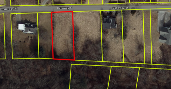 0.29 AC Galax Virginia - Image 5