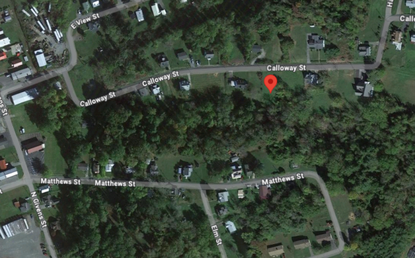 0.29 AC Galax Virginia - Image 4