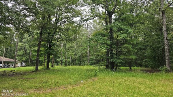 Shady DR, Pine Bluff AR. 0.76 acres - Image 4
