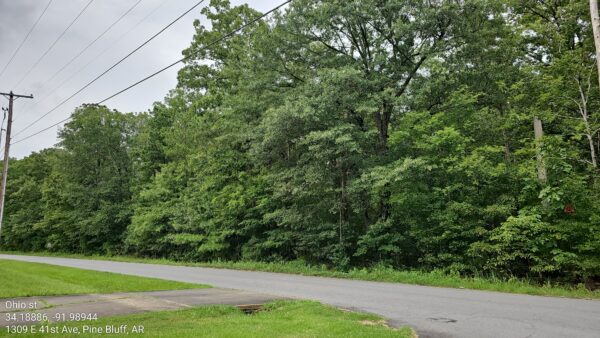 0.3 acres at S Taft St, Watson Chapel, Pine Bluff Arkansas - Image 2