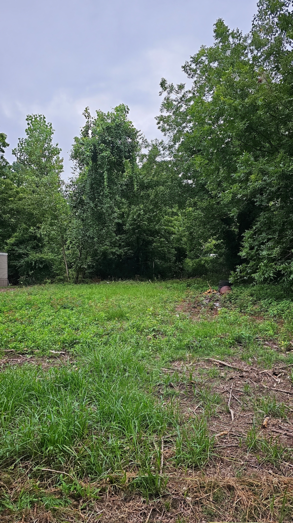 0.20 acres at 5403 W 4 Th Ave,  Watson Chapel, Pine Bluff Arkansas - Image 5