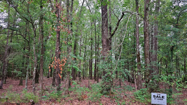 0.24 acres at W 15TH AV, Pine Bluff Arkansas