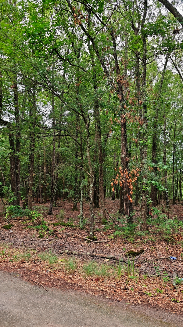 0.24 acres at W 15TH AV, Pine Bluff Arkansas - Image 4