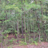 0.52 acres at S Taft St, Watson ChapelPine Bluff Arkansas
