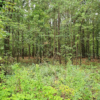 0.52 acres at S Taft St, Watson ChapelPine Bluff Arkansas - Image 5
