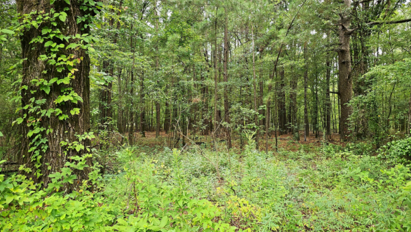 0.3 acres at S Taft St, Watson Chapel, Pine Bluff Arkansas