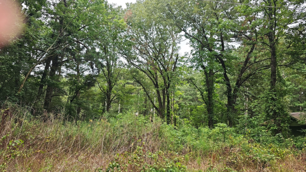0.20 acres at 6224 W 5 Th Ave,  White Hall, Pine Bluff Arkansas