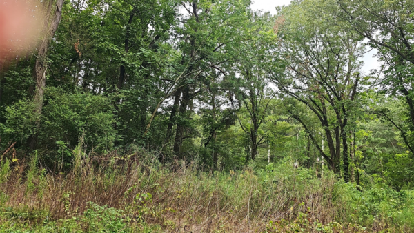 0.20 acres at 6224 W 5 Th Ave,  White Hall, Pine Bluff Arkansas - Image 2