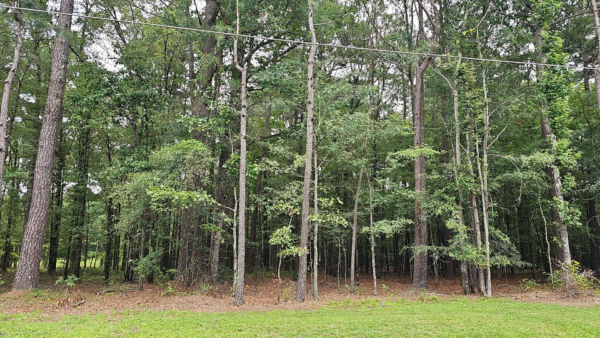 0.61 acres at W 7th Av, Pine Bluff Arkansas - Image 4