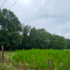 1.85 acres at W Short Av, Pine Bluff Arkansas - Image 5