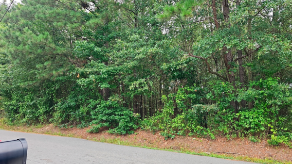 1.85 acres at W Short Av, Pine Bluff Arkansas