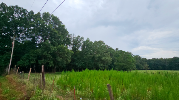 1.85 acres at W Short Av, Pine Bluff Arkansas - Image 5