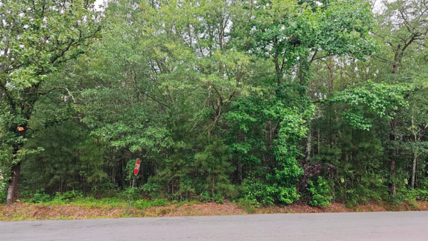 1.85 acres at W Short Av, Pine Bluff Arkansas - Image 3