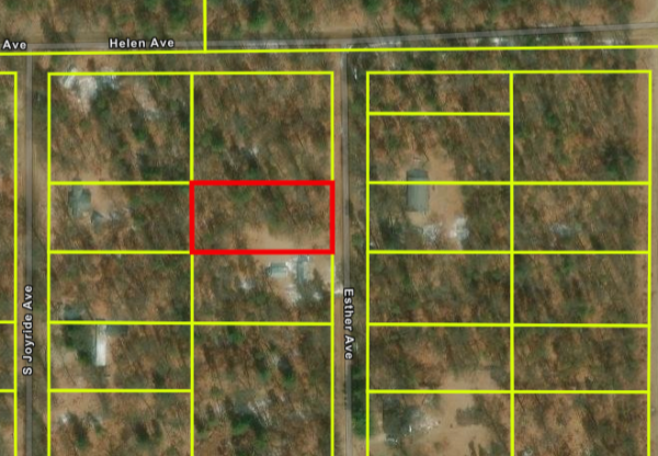 0.45 Acres Michigan 6799 S Esther Ave,  Baldwin - Image 3