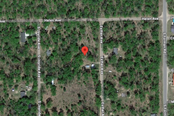 0.45 Acres Michigan 6799 S Esther Ave,  Baldwin - Image 4