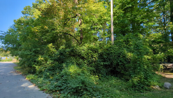 Williamson Ave,  Flint, MI 48507, Genesee, Michigan - Image 4