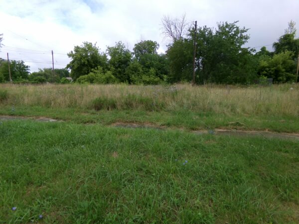 0.26 Ac in 746 S 15 Th, Saginaw, Michigan - Image 2