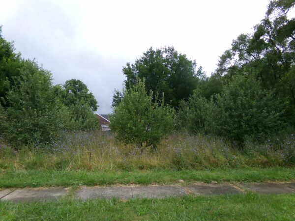 0.26 Ac in Hosmer St,  Saginaw, Michigan - Image 4