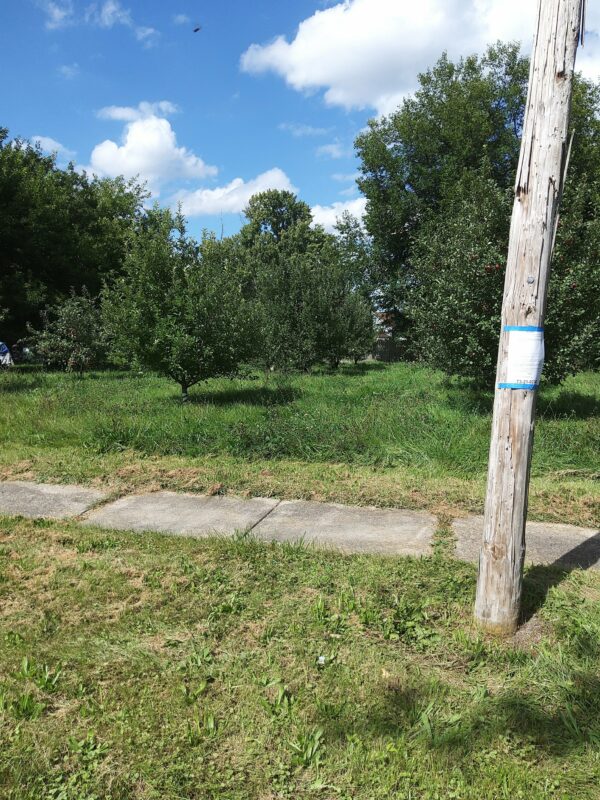 0.26 Ac in Hosmer St,  Saginaw, Michigan - Image 2