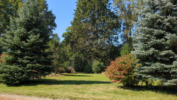 W Princeton Ave,  Flint, MI 48505 Genesee, Michigan - Image 2