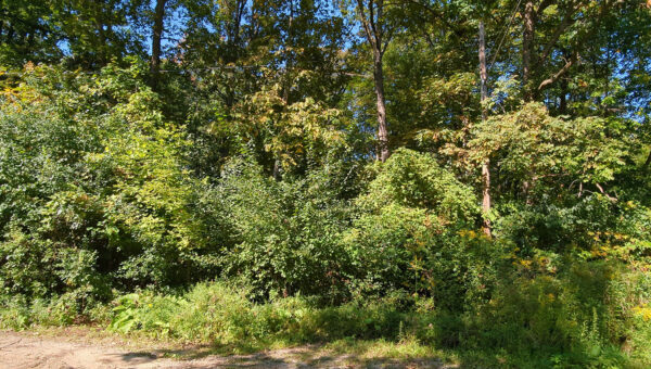 Maywood Dr,  Flint, MI 48504 Genesee, Michigan - Image 5
