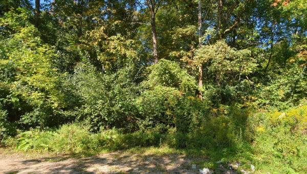 Maywood Dr,  Flint, MI 48504 Genesee, Michigan