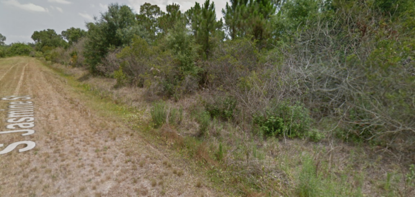 1.26 Ac in Hendry County Florida - Image 3