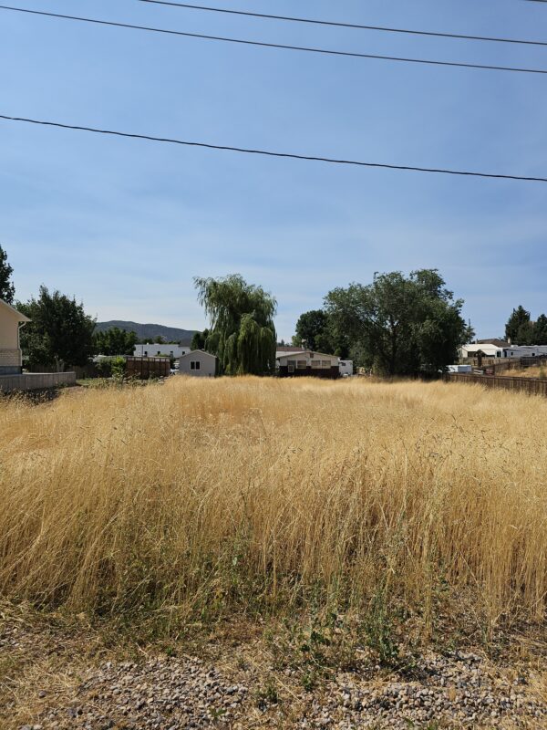 0.34 Ac Nephi, Utah - Image 3